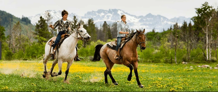Confident plus-size woman riding Cumbernauld a horse through a field with a smile on her face.
